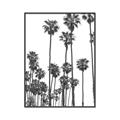 Picture of California Palms _GroupedProduct_Rectangle_Portrait_Photography _GroupedProduct_Rectangle_Portrait_Canvas_Framed_