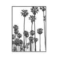 Picture of California Palms _GroupedProduct_Rectangle_Portrait_Photography _GroupedProduct_Rectangle_Portrait_Canvas_Framed_