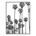Picture of California Palms _GroupedProduct_Rectangle_Portrait_Photography _GroupedProduct_Rectangle_Portrait_Canvas_Framed_