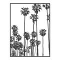 Picture of California Palms _GroupedProduct_Rectangle_Portrait_Photography _GroupedProduct_Rectangle_Portrait_Canvas_Framed_