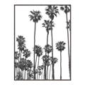 Picture of California Palms _GroupedProduct_Rectangle_Portrait_Photography _GroupedProduct_Rectangle_Portrait_Canvas_Framed_