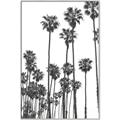Picture of California Palms _GroupedProduct_Rectangle_Portrait_Photography _GroupedProduct_Rectangle_Portrait_Canvas_Framed_