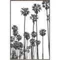 Picture of California Palms _GroupedProduct_Rectangle_Portrait_Photography _GroupedProduct_Rectangle_Portrait_Canvas_Framed_