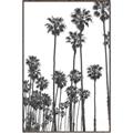 Picture of California Palms _GroupedProduct_Rectangle_Portrait_Photography _GroupedProduct_Rectangle_Portrait_Canvas_Framed_