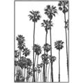 Picture of California Palms _GroupedProduct_Rectangle_Portrait_Photography _GroupedProduct_Rectangle_Portrait_Canvas_Framed_