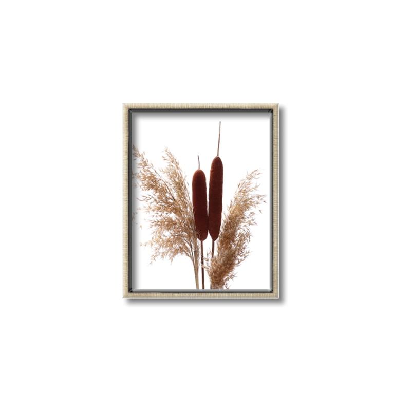 Picture of Cattails  _GroupedProduct_Rectangle_Portrait_Photography _GroupedProduct_Rectangle_Portrait_Canvas_Framed_