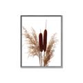 Picture of Cattails  _GroupedProduct_Rectangle_Portrait_Photography _GroupedProduct_Rectangle_Portrait_Canvas_Framed_