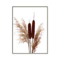 Picture of Cattails  _GroupedProduct_Rectangle_Portrait_Photography _GroupedProduct_Rectangle_Portrait_Canvas_Framed_