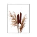 Picture of Cattails  _GroupedProduct_Rectangle_Portrait_Photography _GroupedProduct_Rectangle_Portrait_Canvas_Framed_
