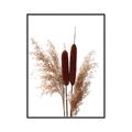 Picture of Cattails  _GroupedProduct_Rectangle_Portrait_Photography _GroupedProduct_Rectangle_Portrait_Canvas_Framed_