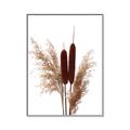 Picture of Cattails  _GroupedProduct_Rectangle_Portrait_Photography _GroupedProduct_Rectangle_Portrait_Canvas_Framed_