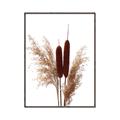 Picture of Cattails  _GroupedProduct_Rectangle_Portrait_Photography _GroupedProduct_Rectangle_Portrait_Canvas_Framed_