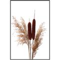Picture of Cattails  _GroupedProduct_Rectangle_Portrait_Photography _GroupedProduct_Rectangle_Portrait_Canvas_Framed_