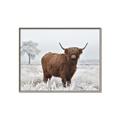Picture of Cookie, the Cow  _GroupedProduct_Rectangle_Landscape_Photography _GroupedProduct_Rectangle_Landscape_Canvas_Framed_
