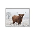 Picture of Cookie, the Cow  _GroupedProduct_Rectangle_Landscape_Photography _GroupedProduct_Rectangle_Landscape_Canvas_Framed_