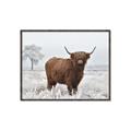 Picture of Cookie, the Cow  _GroupedProduct_Rectangle_Landscape_Photography _GroupedProduct_Rectangle_Landscape_Canvas_Framed_