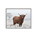 Picture of Cookie, the Cow  _GroupedProduct_Rectangle_Landscape_Photography _GroupedProduct_Rectangle_Landscape_Canvas_Framed_