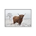 Picture of Cookie, the Cow  _GroupedProduct_Rectangle_Landscape_Photography _GroupedProduct_Rectangle_Landscape_Canvas_Framed_