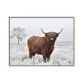 Picture of Cookie, the Cow  _GroupedProduct_Rectangle_Landscape_Photography _GroupedProduct_Rectangle_Landscape_Canvas_Framed_