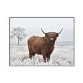 Picture of Cookie, the Cow  _GroupedProduct_Rectangle_Landscape_Photography _GroupedProduct_Rectangle_Landscape_Canvas_Framed_