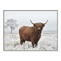 Picture of Cookie, the Cow  _GroupedProduct_Rectangle_Landscape_Photography _GroupedProduct_Rectangle_Landscape_Canvas_Framed_