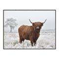 Picture of Cookie, the Cow  _GroupedProduct_Rectangle_Landscape_Photography _GroupedProduct_Rectangle_Landscape_Canvas_Framed_