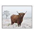 Picture of Cookie, the Cow  _GroupedProduct_Rectangle_Landscape_Photography _GroupedProduct_Rectangle_Landscape_Canvas_Framed_