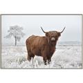 Picture of Cookie, the Cow  _GroupedProduct_Rectangle_Landscape_Photography _GroupedProduct_Rectangle_Landscape_Canvas_Framed_