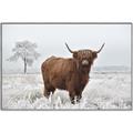 Picture of Cookie, the Cow  _GroupedProduct_Rectangle_Landscape_Photography _GroupedProduct_Rectangle_Landscape_Canvas_Framed_