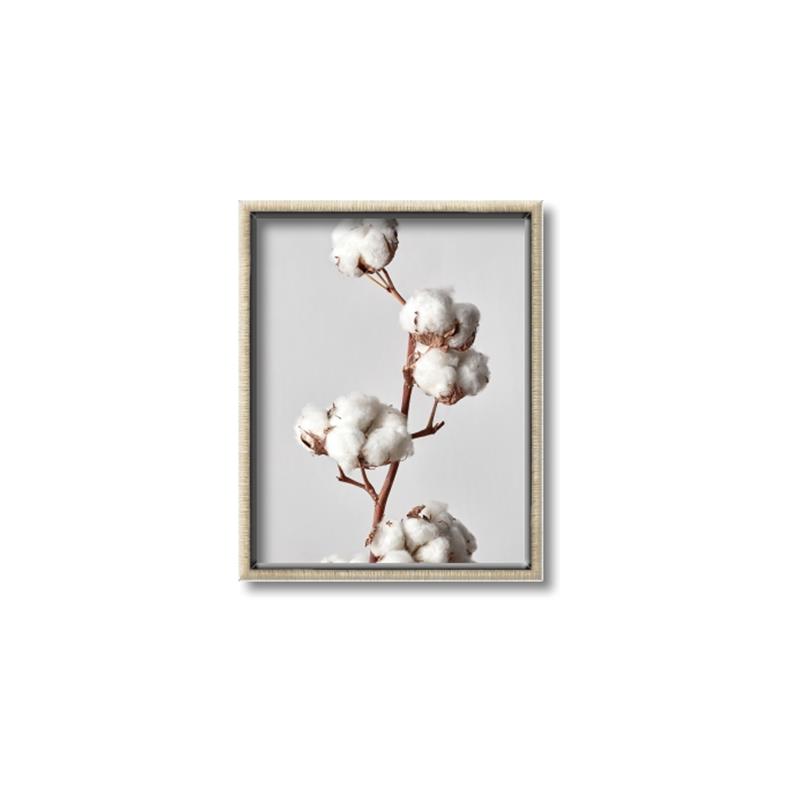 Picture of Cotton _GroupedProduct_Rectangle_Portrait_Photography _GroupedProduct_Rectangle_Portrait_Canvas_Framed_