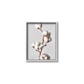 Picture of Cotton _GroupedProduct_Rectangle_Portrait_Photography _GroupedProduct_Rectangle_Portrait_Canvas_Framed_
