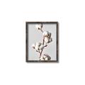 Picture of Cotton _GroupedProduct_Rectangle_Portrait_Photography _GroupedProduct_Rectangle_Portrait_Canvas_Framed_