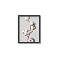 Picture of Cotton _GroupedProduct_Rectangle_Portrait_Photography _GroupedProduct_Rectangle_Portrait_Canvas_Framed_