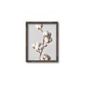 Picture of Cotton _GroupedProduct_Rectangle_Portrait_Photography _GroupedProduct_Rectangle_Portrait_Canvas_Framed_