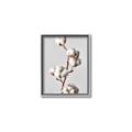Picture of Cotton _GroupedProduct_Rectangle_Portrait_Photography _GroupedProduct_Rectangle_Portrait_Canvas_Framed_