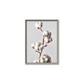 Picture of Cotton _GroupedProduct_Rectangle_Portrait_Photography _GroupedProduct_Rectangle_Portrait_Canvas_Framed_