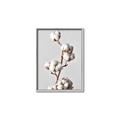 Picture of Cotton _GroupedProduct_Rectangle_Portrait_Photography _GroupedProduct_Rectangle_Portrait_Canvas_Framed_