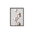 Picture of Cotton _GroupedProduct_Rectangle_Portrait_Photography _GroupedProduct_Rectangle_Portrait_Canvas_Framed_