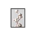 Picture of Cotton _GroupedProduct_Rectangle_Portrait_Photography _GroupedProduct_Rectangle_Portrait_Canvas_Framed_