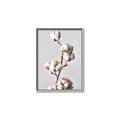 Picture of Cotton _GroupedProduct_Rectangle_Portrait_Photography _GroupedProduct_Rectangle_Portrait_Canvas_Framed_