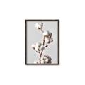 Picture of Cotton _GroupedProduct_Rectangle_Portrait_Photography _GroupedProduct_Rectangle_Portrait_Canvas_Framed_