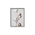 Picture of Cotton _GroupedProduct_Rectangle_Portrait_Photography _GroupedProduct_Rectangle_Portrait_Canvas_Framed_
