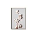 Picture of Cotton _GroupedProduct_Rectangle_Portrait_Photography _GroupedProduct_Rectangle_Portrait_Canvas_Framed_