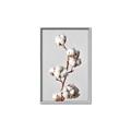 Picture of Cotton _GroupedProduct_Rectangle_Portrait_Photography _GroupedProduct_Rectangle_Portrait_Canvas_Framed_
