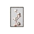 Picture of Cotton _GroupedProduct_Rectangle_Portrait_Photography _GroupedProduct_Rectangle_Portrait_Canvas_Framed_