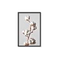 Picture of Cotton _GroupedProduct_Rectangle_Portrait_Photography _GroupedProduct_Rectangle_Portrait_Canvas_Framed_