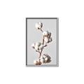 Picture of Cotton _GroupedProduct_Rectangle_Portrait_Photography _GroupedProduct_Rectangle_Portrait_Canvas_Framed_