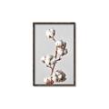 Picture of Cotton _GroupedProduct_Rectangle_Portrait_Photography _GroupedProduct_Rectangle_Portrait_Canvas_Framed_
