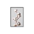 Picture of Cotton _GroupedProduct_Rectangle_Portrait_Photography _GroupedProduct_Rectangle_Portrait_Canvas_Framed_