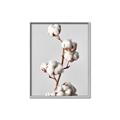 Picture of Cotton _GroupedProduct_Rectangle_Portrait_Photography _GroupedProduct_Rectangle_Portrait_Canvas_Framed_